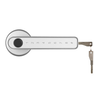 Single Row Electronic Password Indoor Fingerprint Lock House dealsniper-net Silver Ordinary