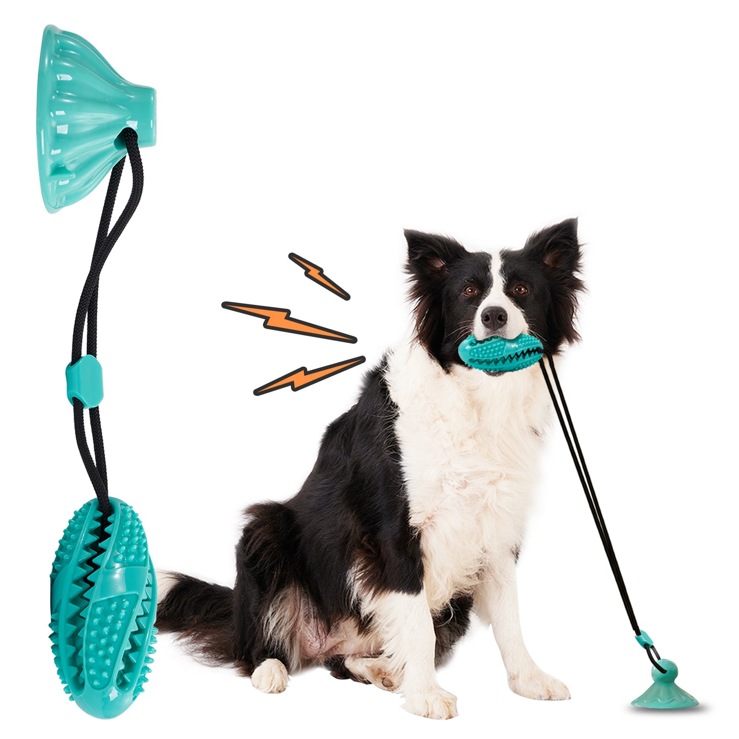 Suction Cup Pull Rope Leaking Pet Toy Ball Tpr Molar Pets dealsniper-net