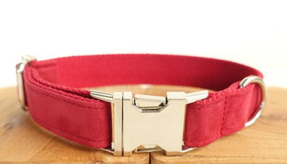 Pet Traction Collar Dog Collar Pets Gym From House