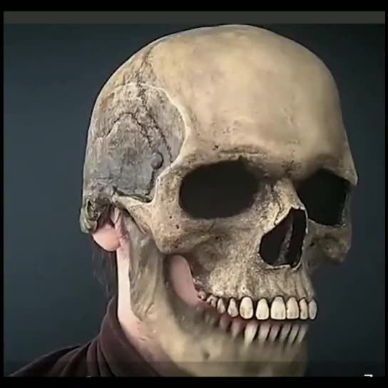 Full Head Skull Mask Helmet With Movable Jaw 3D Skeleton Skull