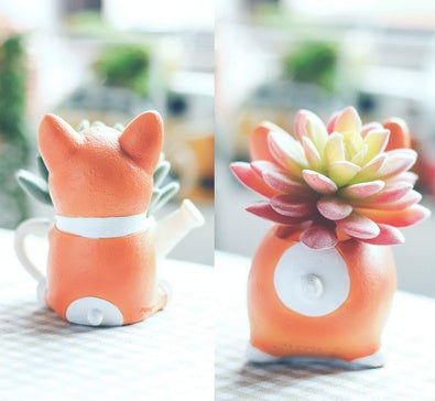Flower Pot Mini Plant Pot Modern Pet Dog Annimal Style Pots Home Decor Gym From House