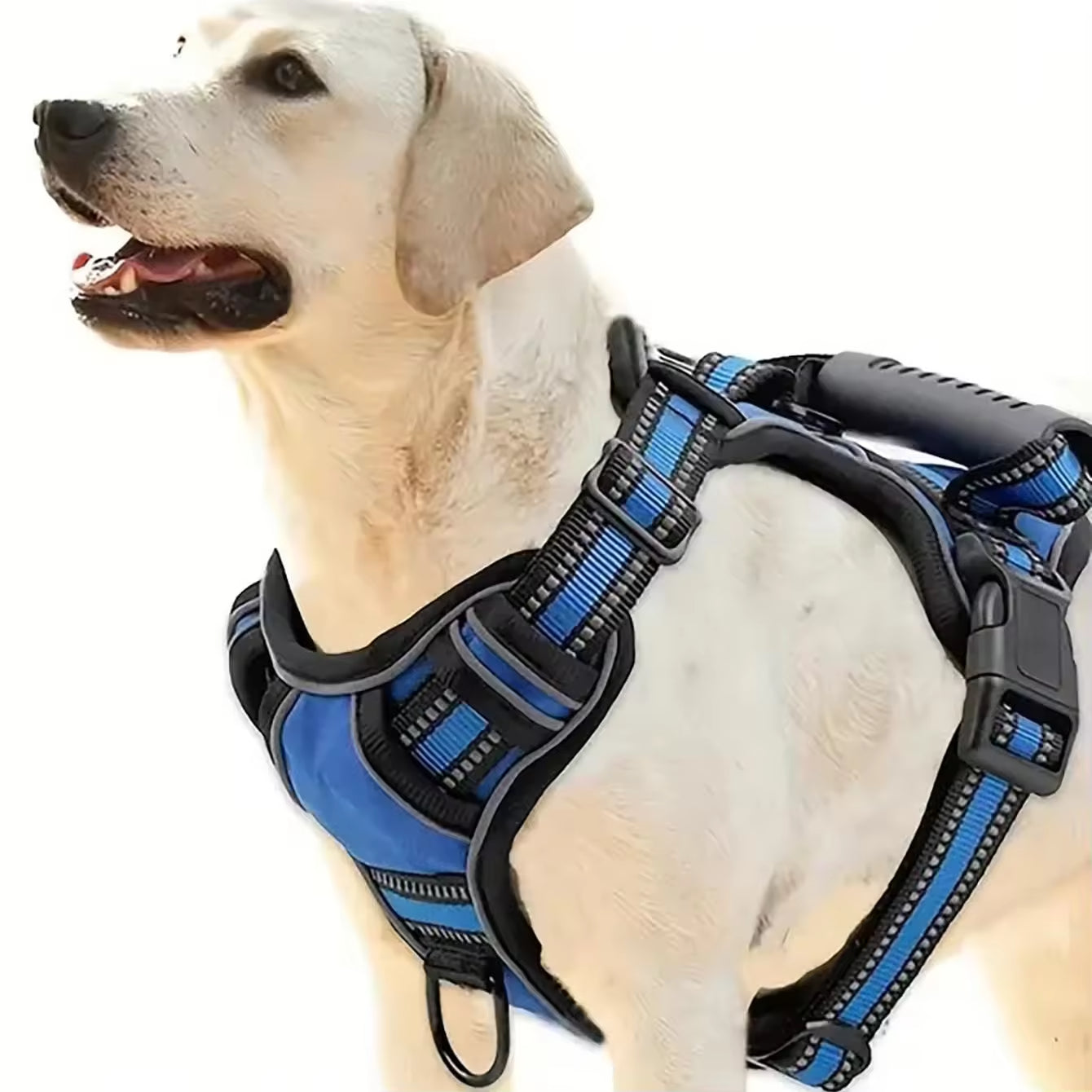 Tactical Service Dog Harness Strap Set Car Seat Belt Pets Gym From House