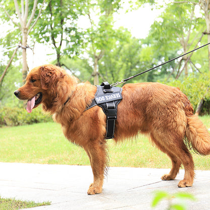 Personalization Of Pet Chest Strap Products Pets DealSniper.net