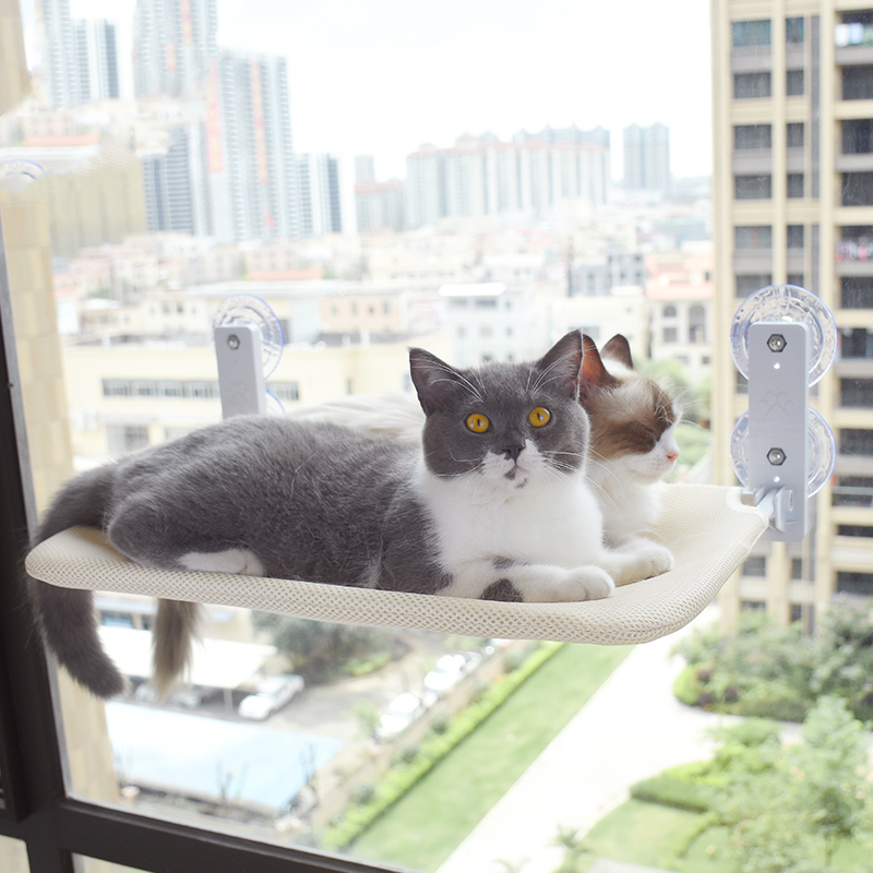 Cat Suction Cup Window Glass Hammock Pet Cat Pets Products Pets dealsniper-net