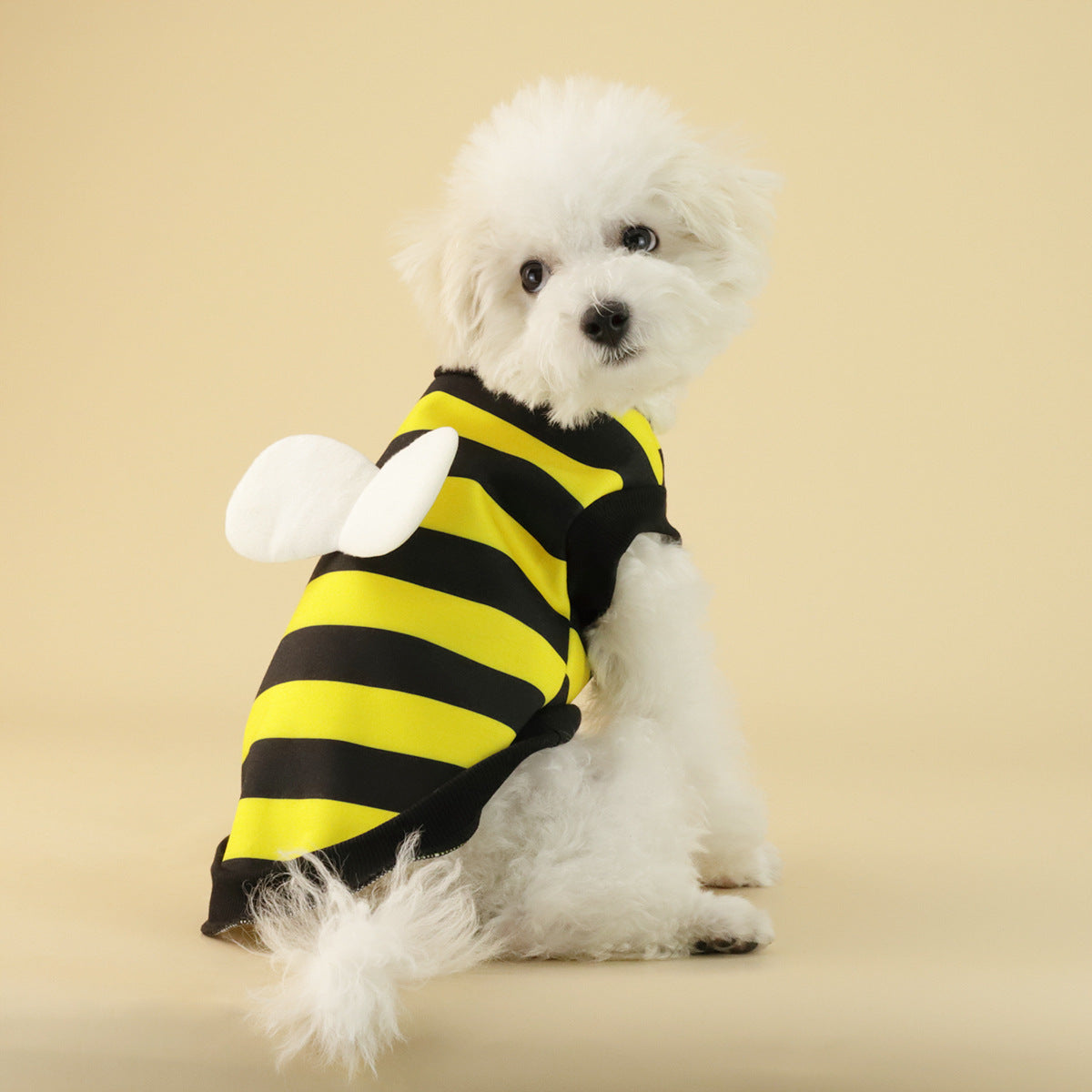 Frog Dog Sweater Fleece Clothes Pet Pets Gym From House