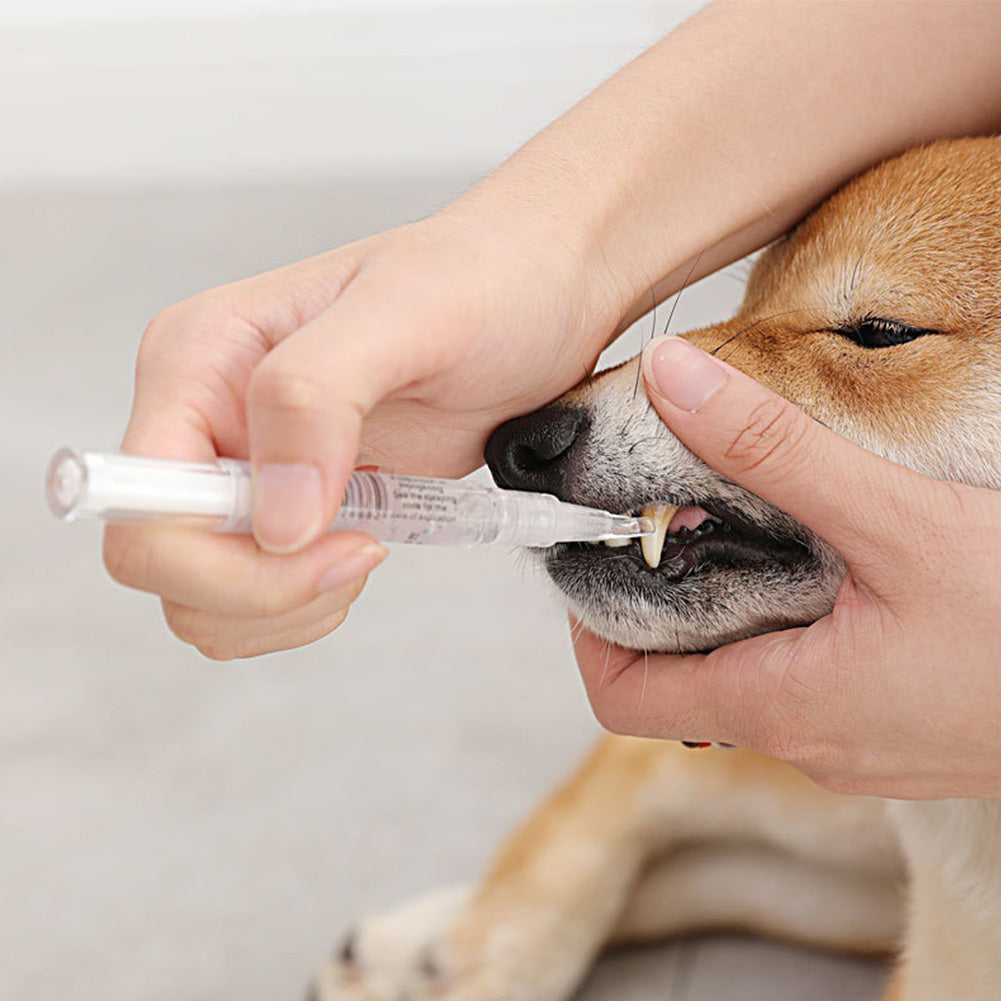 Pet Teeth Repairing Kit For Dog Cat Teeth Cleaning Pen Kit Pets Gym From House