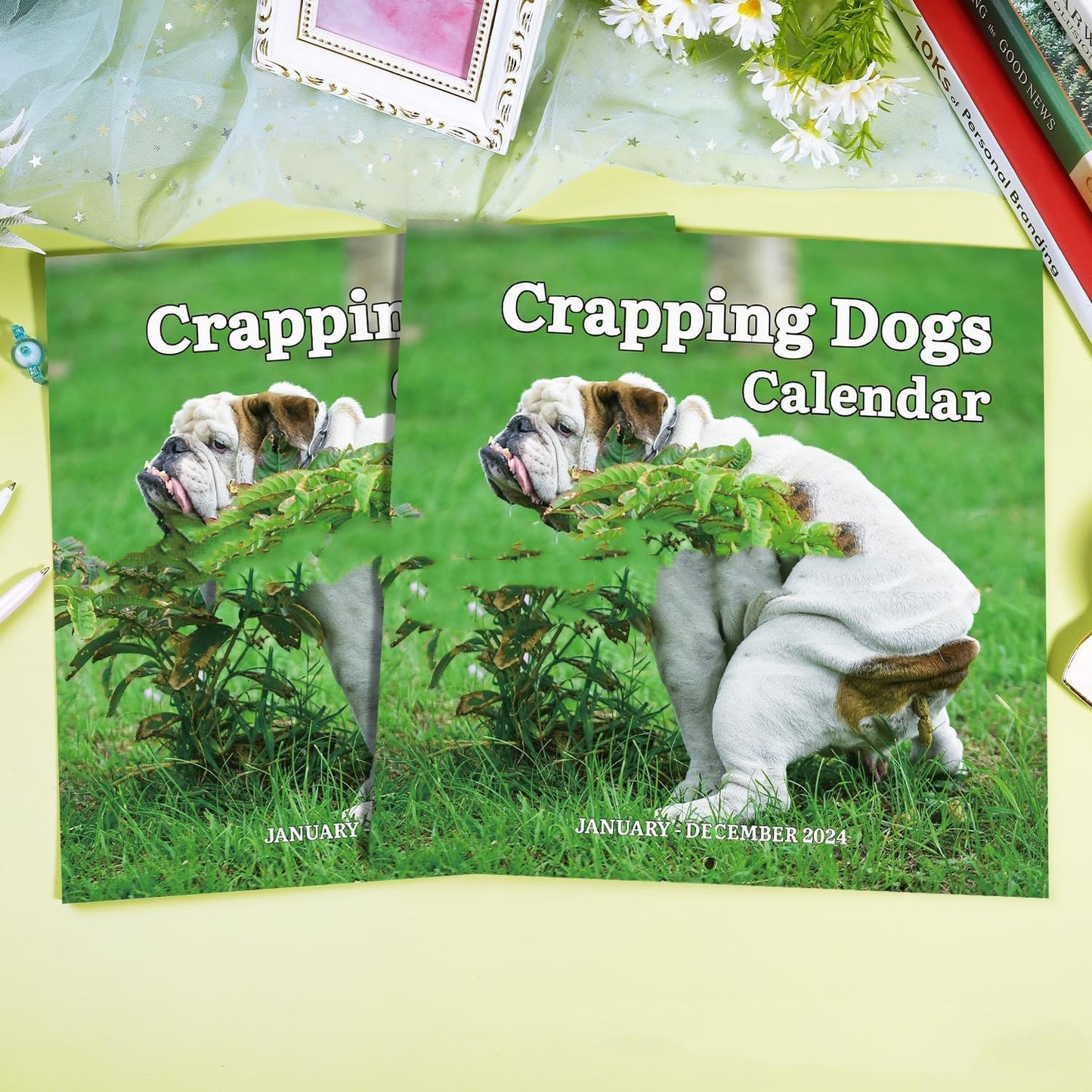New Year Dog Poop Calendar House Gym From House