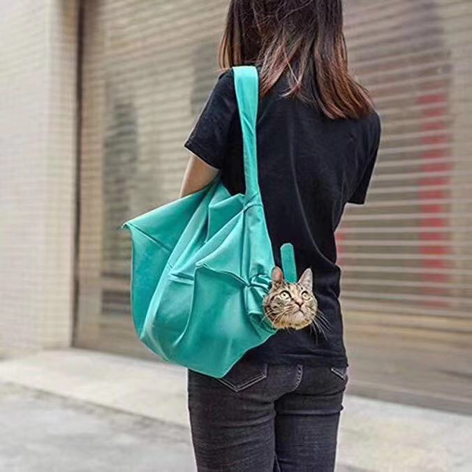 Cat Carrier Pouch Cat Carrier Bag Ai Recorder Gym From House