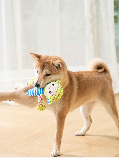 Splicing Plush Small And Medium-sized Dog Training Molar Toys Pets Gym From House