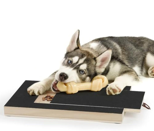 Dog Nail Scratch Board, Dog File Board Dog Nail Grinder Pets Gym From House Black