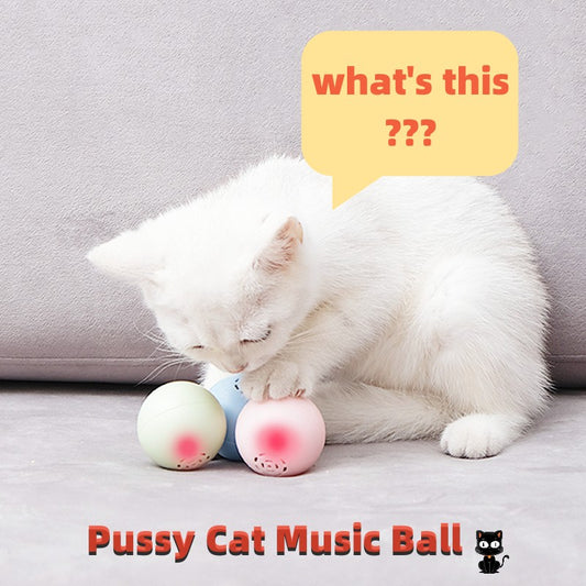 New Self-Hi Pussy Cat Music Ball Sounds And Bites Toys Pets Gym From House