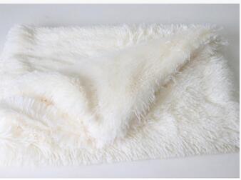 Pet Dog Cat Blankets Pets Gym From House