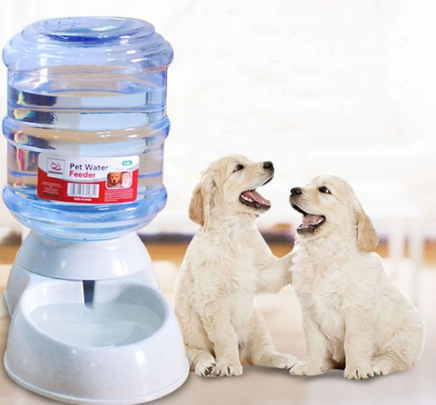 Cats Dogs Automatic Pet Feeder Drinking Water Fountains Large Pets dealsniper-net