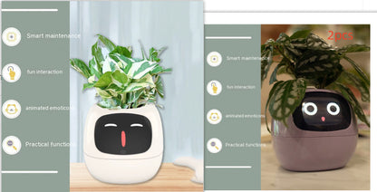 Smart Planter Endless Fun Over 49 Rich Expressions