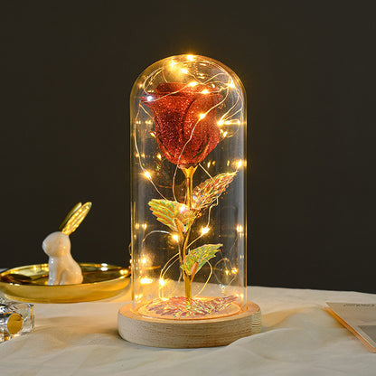 Valentines Day Gift For Girlfriend Eternal Rose Flowers LED Light In Glass Deals DealSniper.net Red