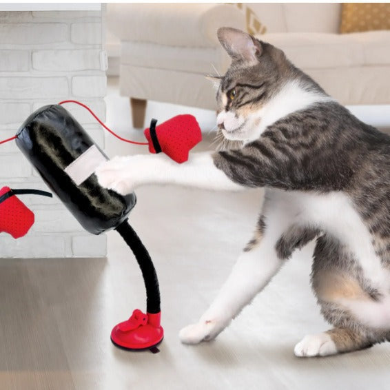Portable Cat Punching Bag Toy Interactive Indoor Pets Gym From House