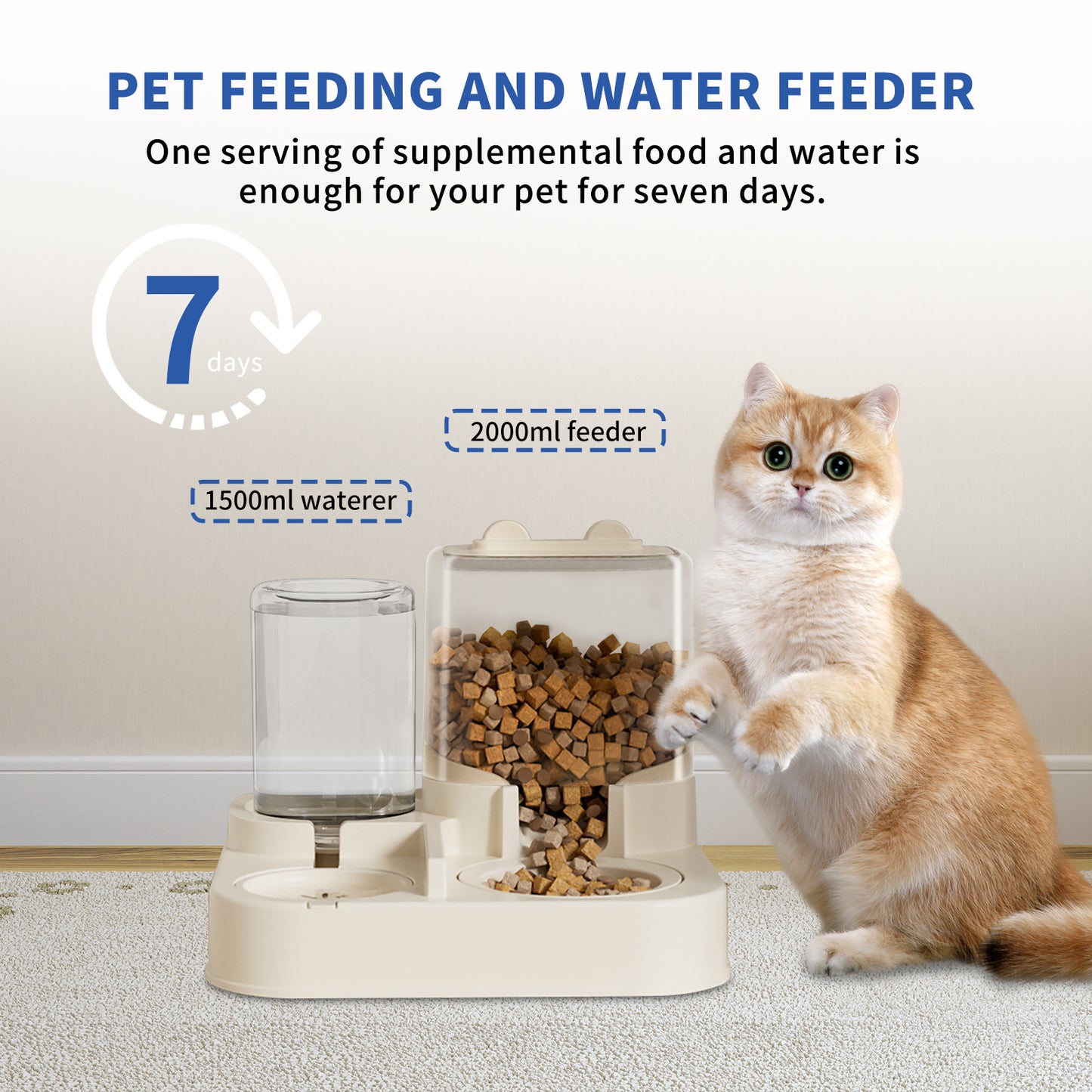Transparent And Visible Pet Feeding And Drinking Dispenser Pets Gym From House
