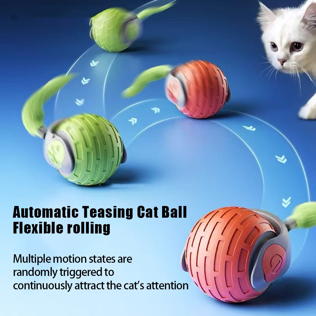 New Interactive Cat Toys Ball Auto Electric Rolling Ball Toys Pets Gym From House
