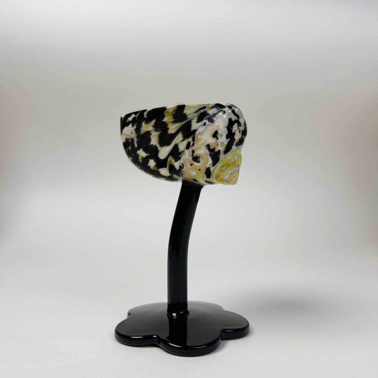 Ins Handmade Shell Conch Wine Glass Aromatherapy Dish Kitchen DealSniper.net Zebra Snail Cup