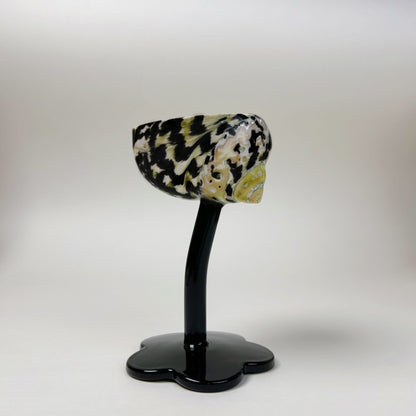 Ins Handmade Shell Conch Wine Glass Aromatherapy Dish Kitchen DealSniper.net Zebra Snail Cup