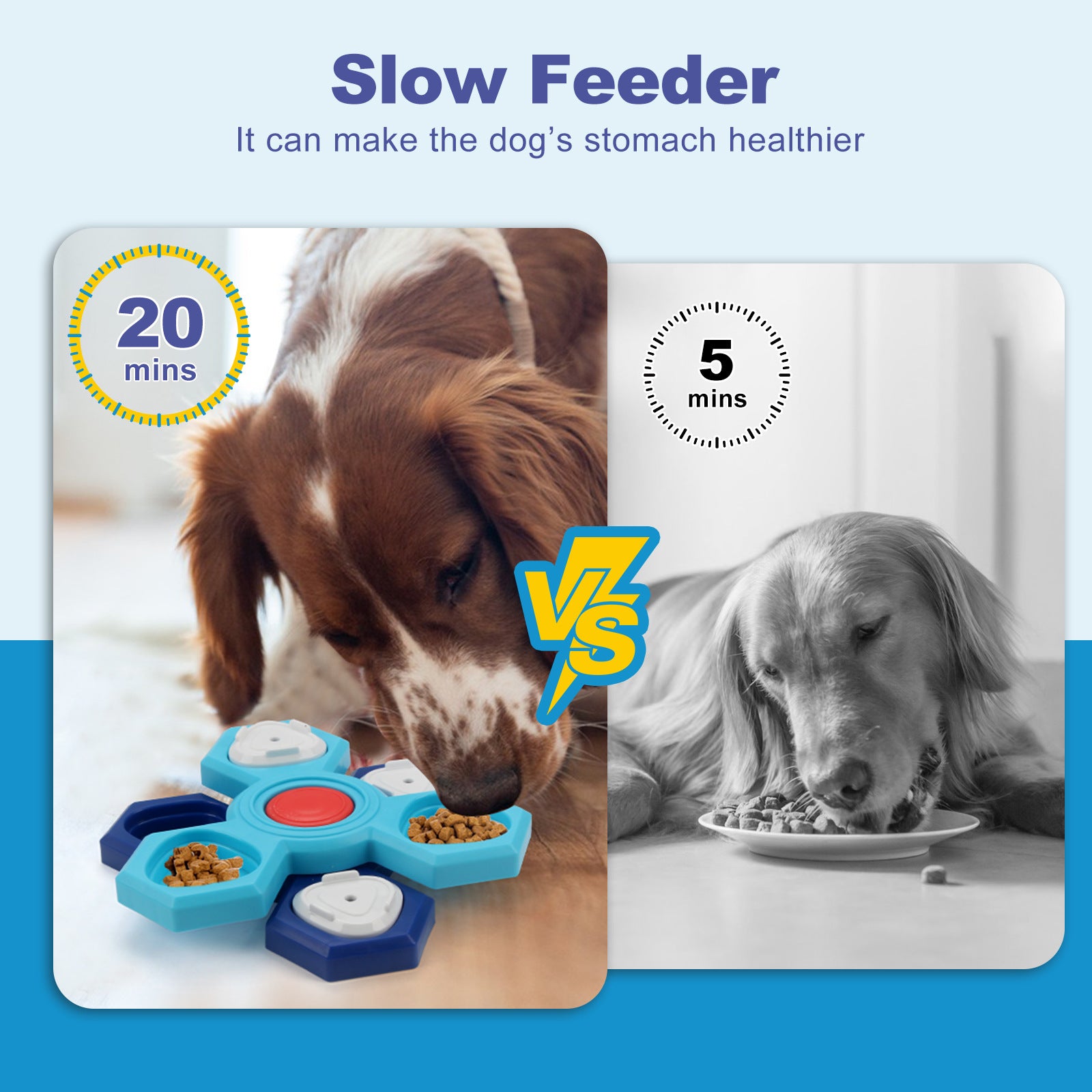 4 Layers Slow Feeder Puzzle Dog Bowls Assemble Slow Eating Bowl Pets dealsniper-net