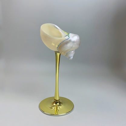 Ins Handmade Shell Conch Wine Glass Aromatherapy Dish Kitchen DealSniper.net Gold Background Silver
