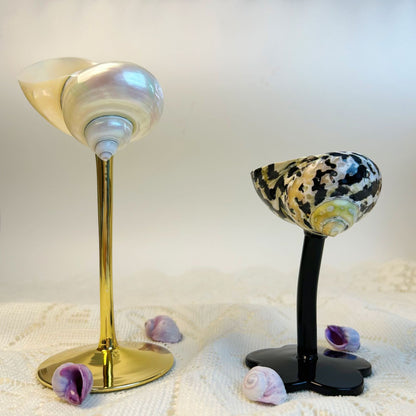 Ins Handmade Shell Conch Wine Glass Aromatherapy Dish Kitchen DealSniper.net