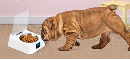 Pet 5G Bowl Automatic Pet Feeder Pets Gym From House