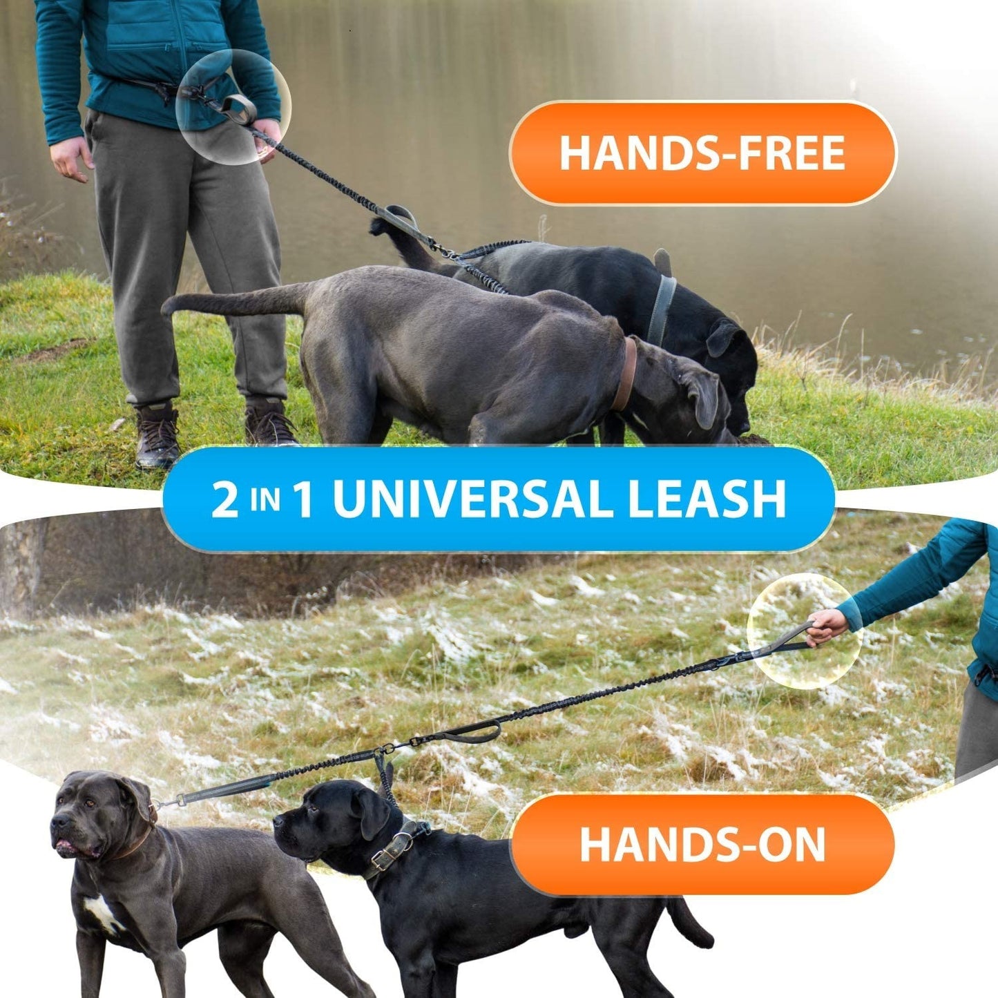 Pet Supplies Fitness Sports Running Hand Holding Rope Pets Gym From House