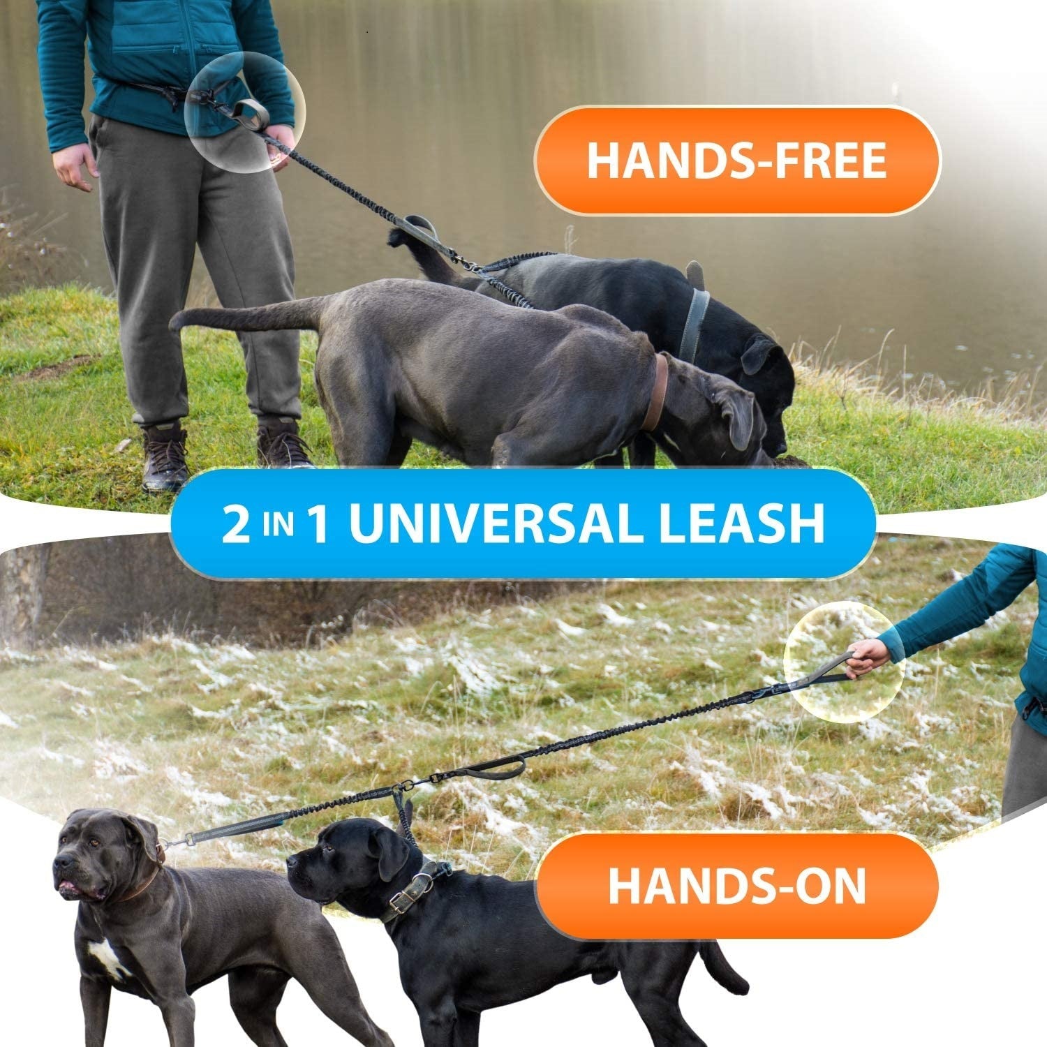 Pet Supplies Fitness Sports Running Hand Holding Rope Pets Gym From House