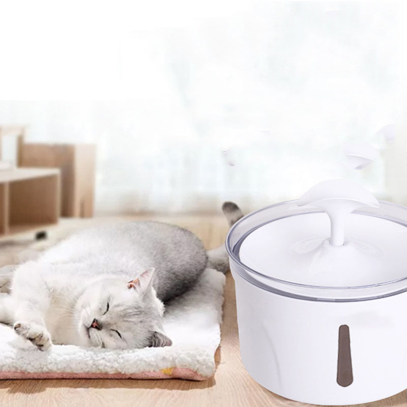 Pet Dog Cat Water Fountain Electric Automatic Water Feeder Pets Gym From House