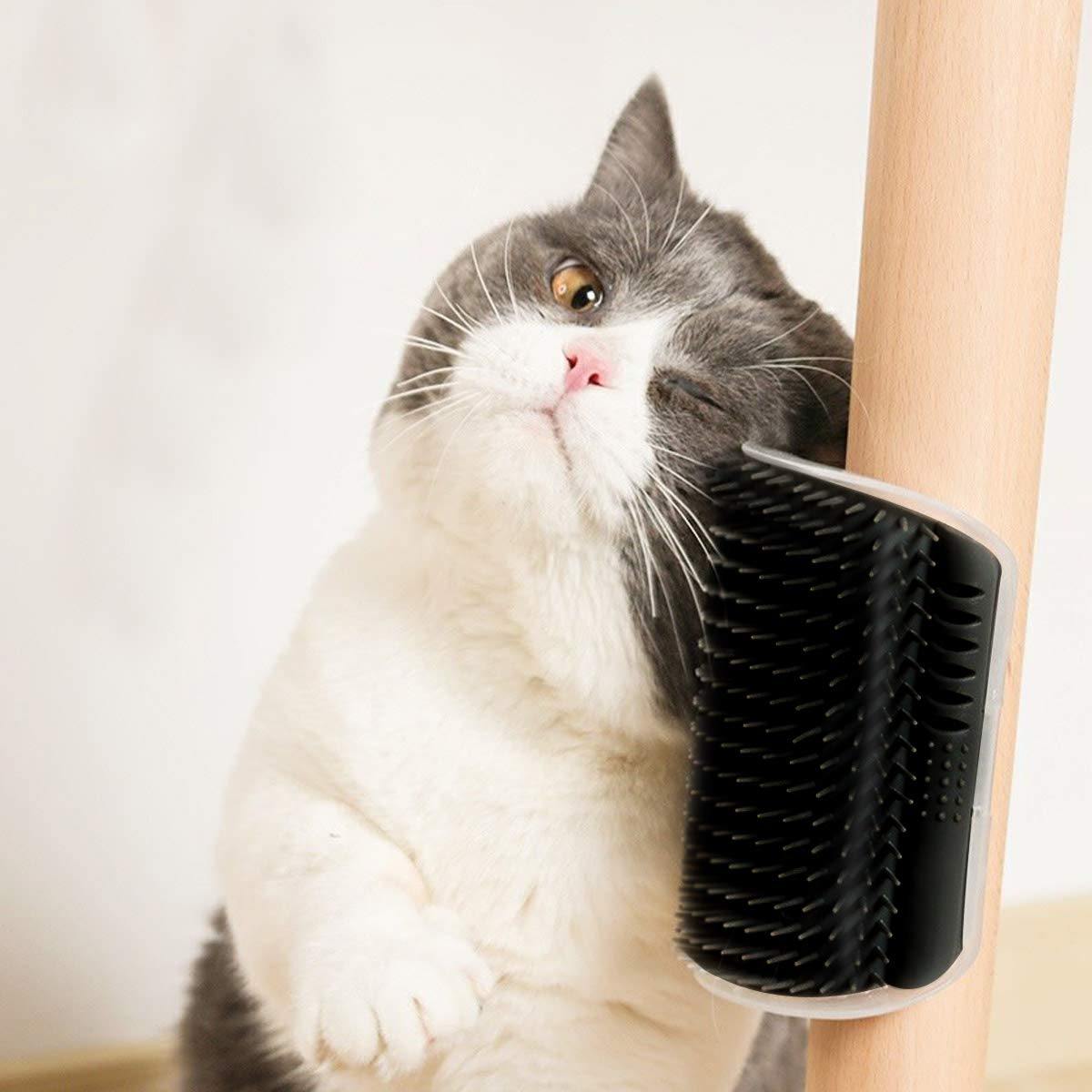 Cat Self Groomer Arch Self Cleaning Slicker Brush Upgraded Cat Brushes Pets Gym From House