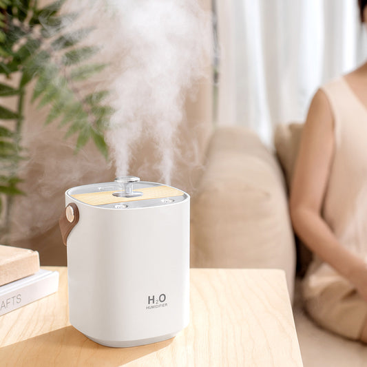 New Dual Spray Mute Portable Humidifier Home Heavy Fog House Gym From House