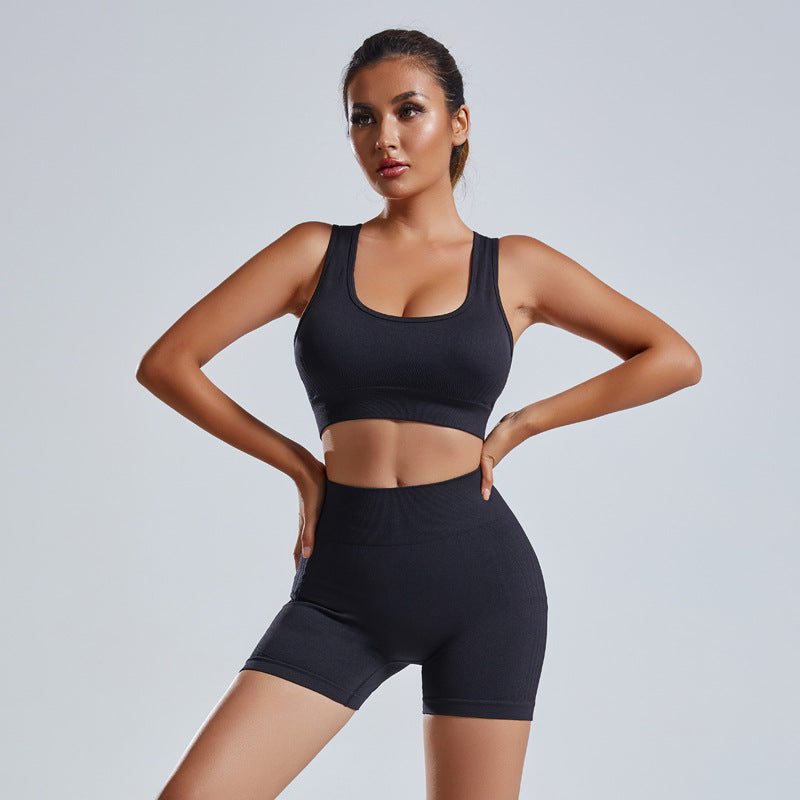 2pcs Yoga Set Women's Vest And Shorts Tracksuit Seamless Women Gym From House