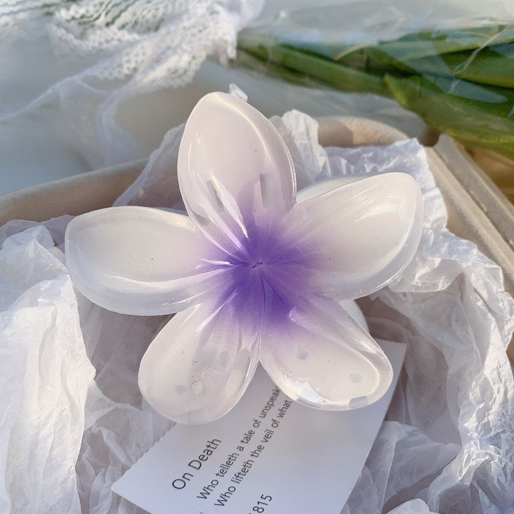 High Sense Plumeria Rubra Seaside Holiday Barrettes Beauty DealSniper.net 4 Purple Plumeria Rubra 8cm 1PC