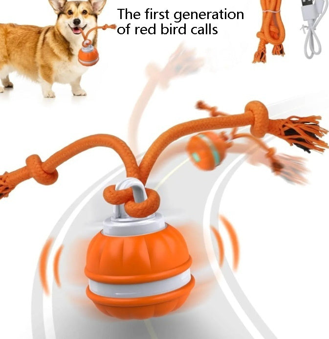 Pet Ball For Dogs Interactive Toys Motion Activate Rolling Ball Pets Gym From House 1generationred bird calls