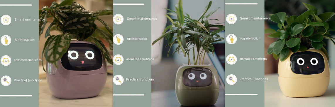 Smart Planter Endless Fun Over 49 Rich Expressions