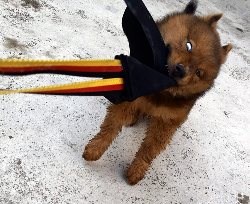 Crazy Horse-dog Bite Cloth Dog Training Bite Pet Toy Pets DealSniper.net