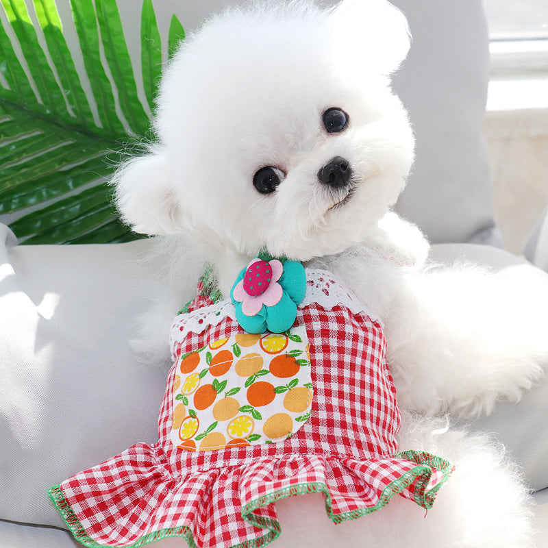 New Summer Dog Clothes Thin Style Pets Gym From House