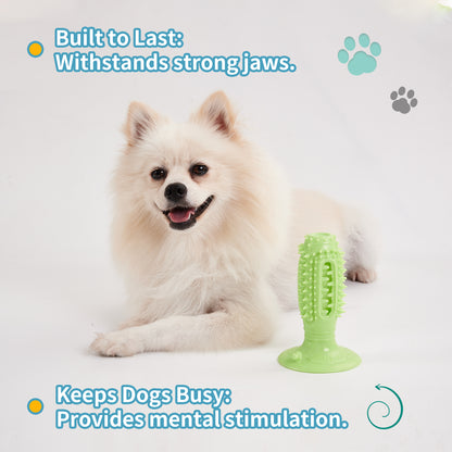 Different Functions Interactive Balls For Dogs Squeaky Dog Balls Toys Pets Gym From House