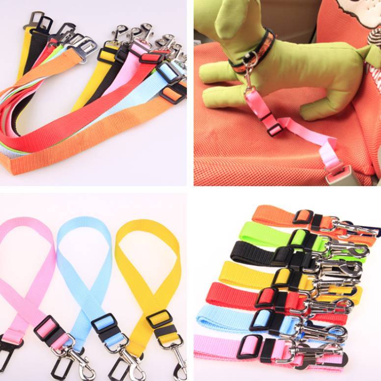 Fixed Strap Polyester Dog Strap Dog Leash Dog Leash Pets dealsniper-net