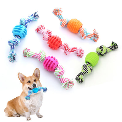Dog Bite-resistant Teeth Cleaning Pets Toys Ball Pets Gym From House