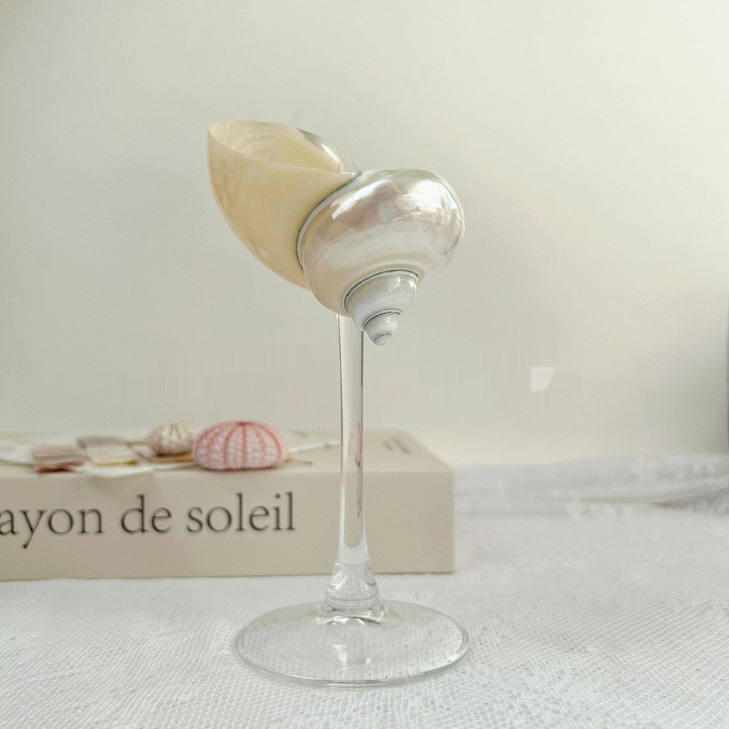 Ins Handmade Shell Conch Wine Glass Aromatherapy Dish Kitchen DealSniper.net Transparent Bottom Silver