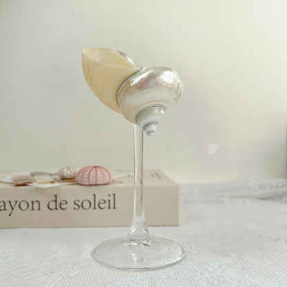 Ins Handmade Shell Conch Wine Glass Aromatherapy Dish Kitchen DealSniper.net Transparent Bottom Silver