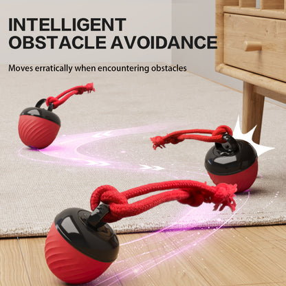 Smart Dog Cat Toy Ball Electronic Interactive Pet Toy Moving Ball Pets Gym From House