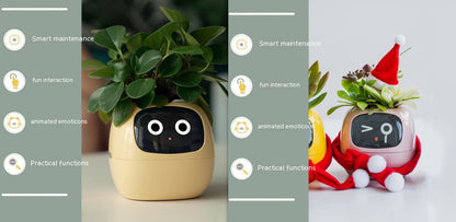 Smart Planter Endless Fun Over 49 Rich Expressions Home Decor dealsniper-net