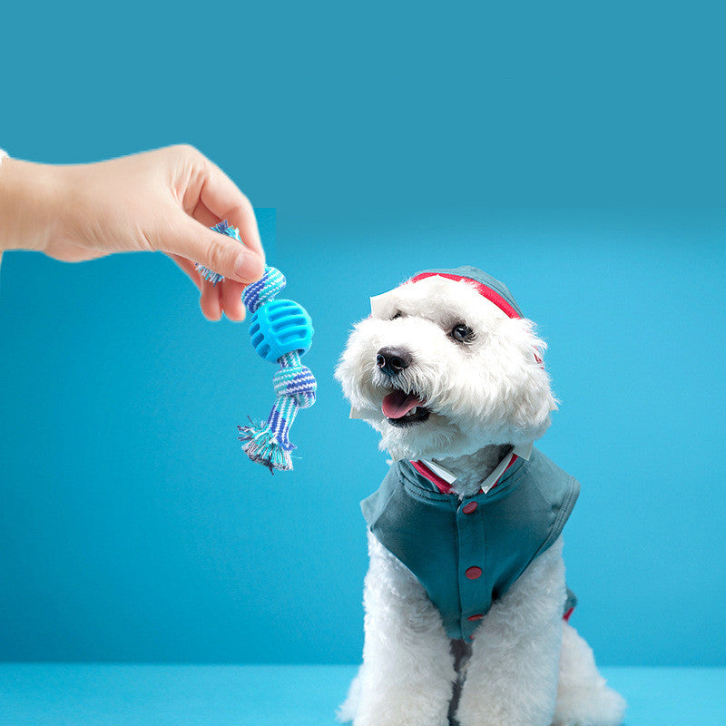 Dog Bite-resistant Teeth Cleaning Pets Toys Ball Pets Gym From House