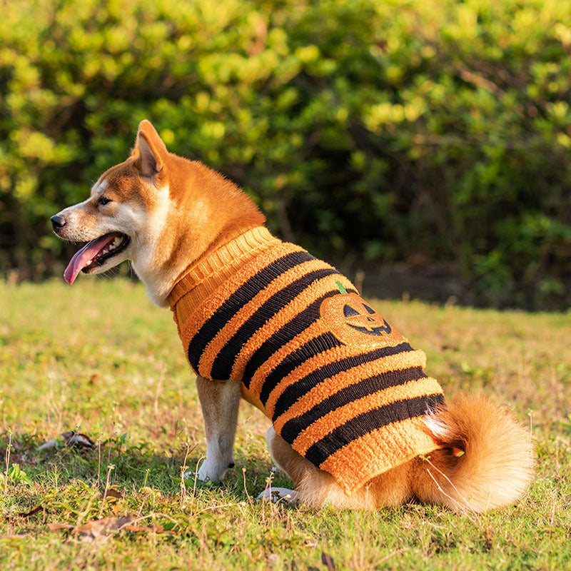 Halloween Dog Sweaters Pet Costume Teddy Warm Leisure Sweater Pets dealsniper-net