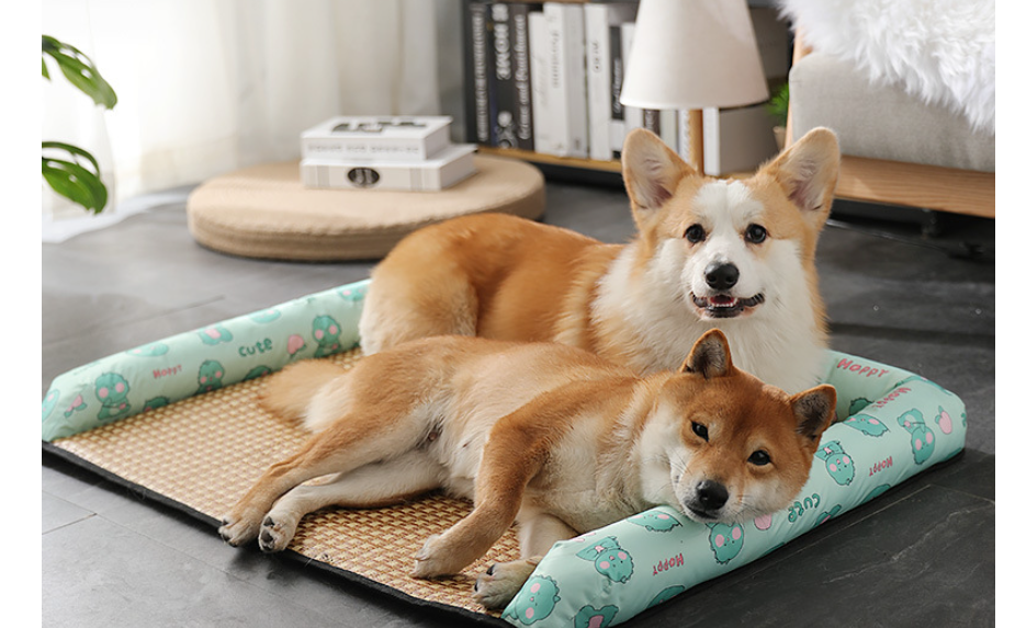 The New Summer Cool Nest To Cool Off The Heat And Cool The Mat Through