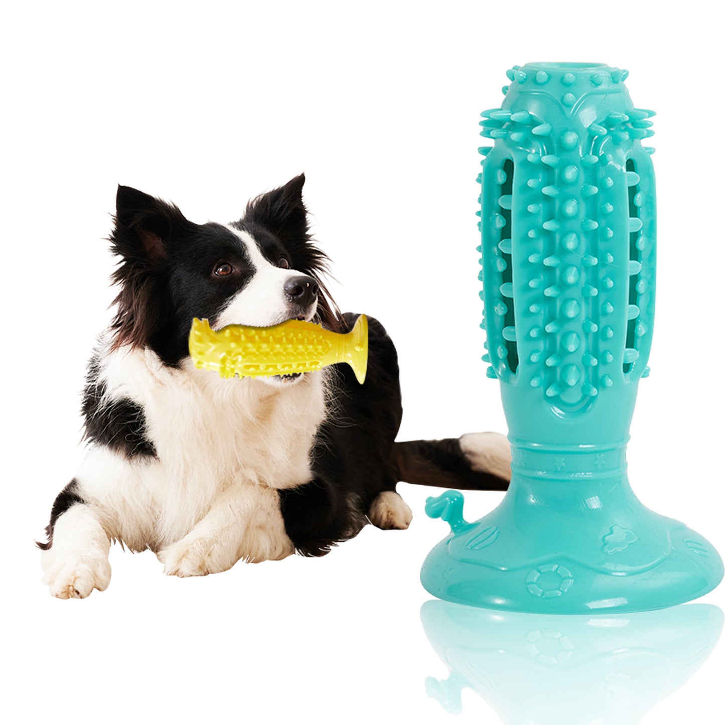 Different Functions Interactive Balls For Dogs Squeaky Dog Balls Toys Pets Gym From House